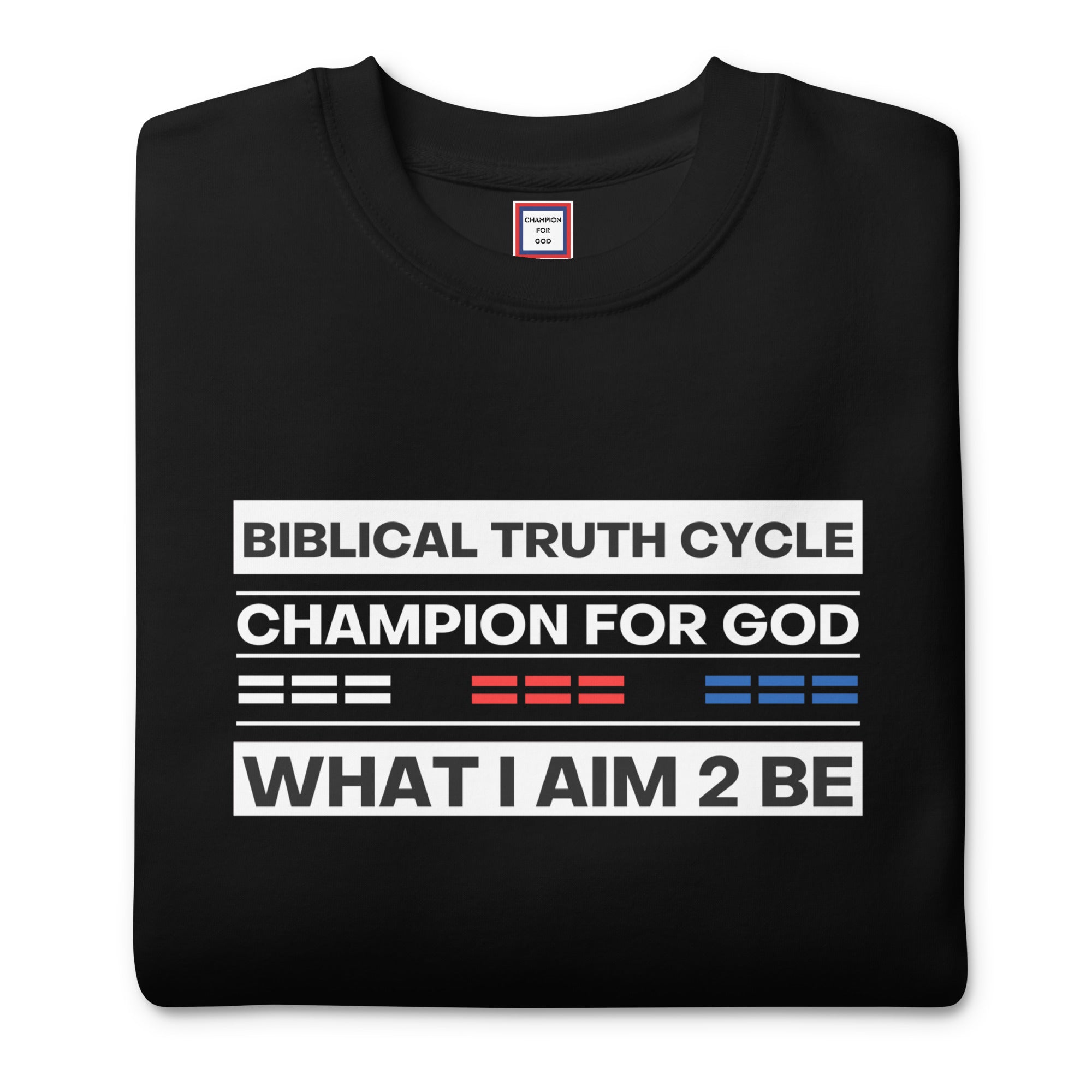 Champion For God - Unisex Sweatshirt (W.I.A.2.B.)