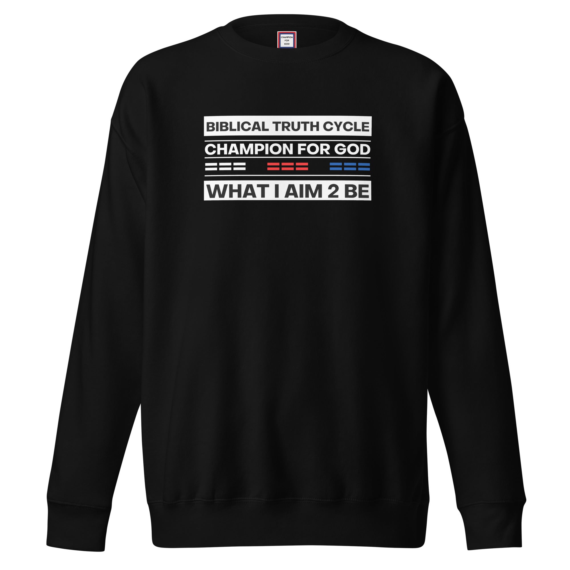 Champion For God - Unisex Sweatshirt (W.I.A.2.B.)