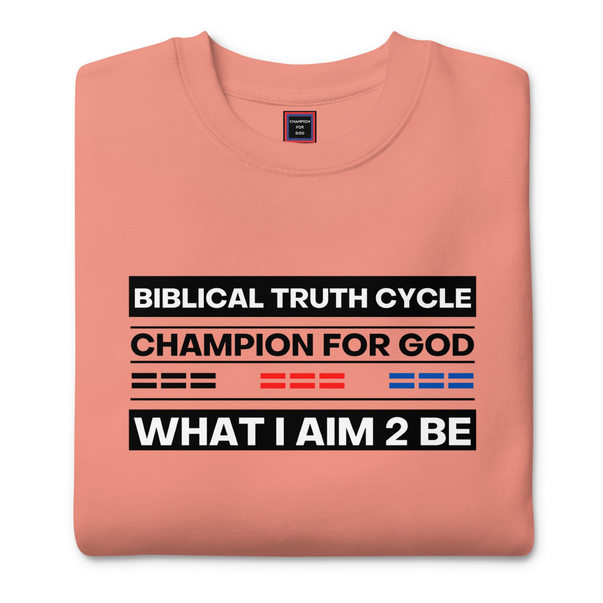 Champion For God - Unisex Sweatshirt (W.I.A.2.B.)