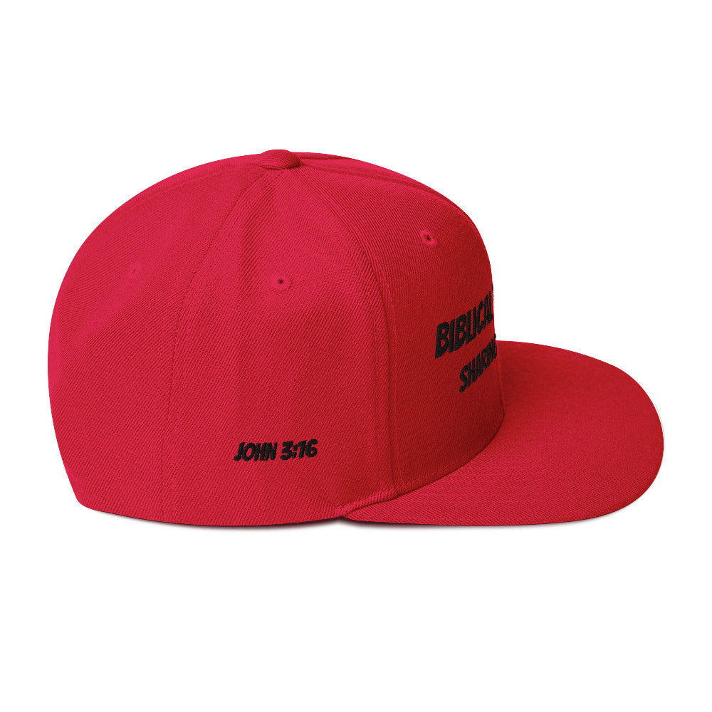 Biblical Truth Cycle - Snapback Hat _ Embroidered