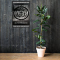 Biblical Truth Cycle - Framed Poster