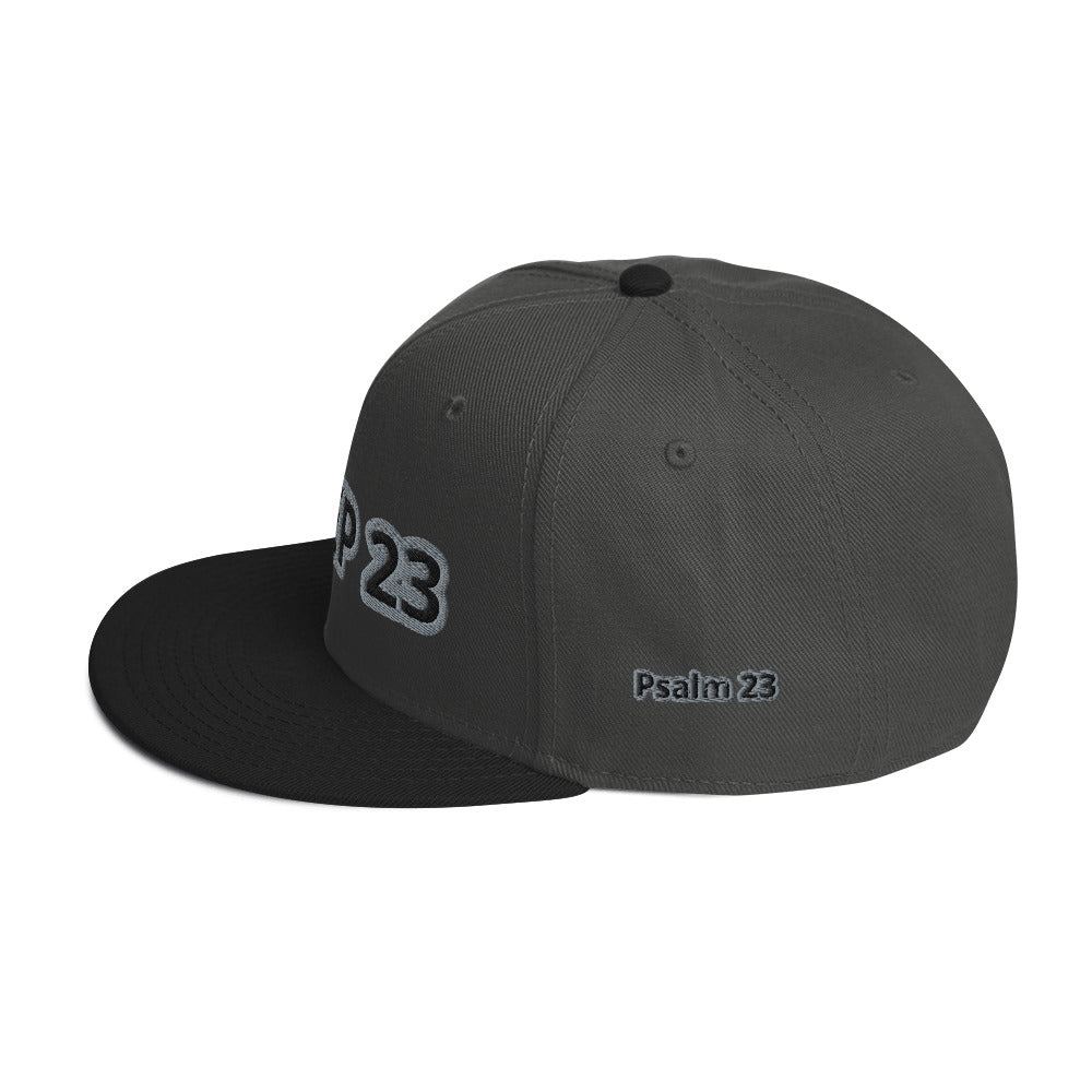 Sheep 23 - Snapback Hat _ Embroidered