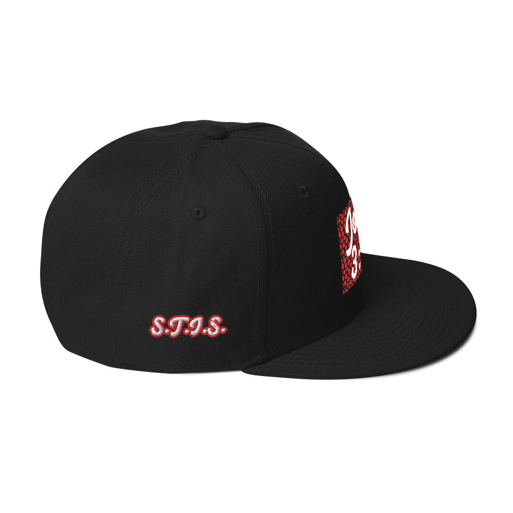 Biblical Truth Cycle - Snapback Hat (John 3:16 - White Letters) _ Embroidered