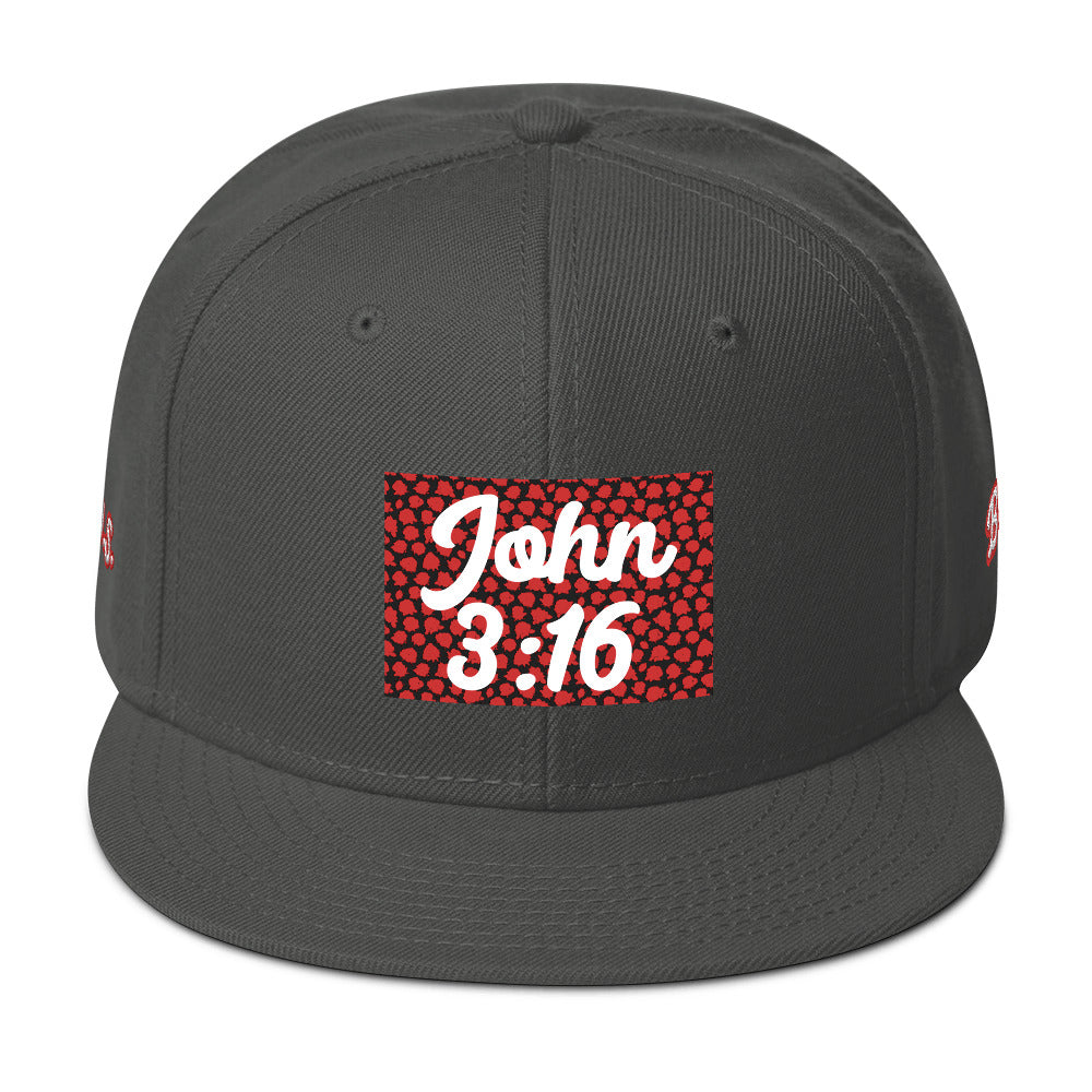 Biblical Truth Cycle - Snapback Hat (John 3:16 - White Letters) _ Embroidered