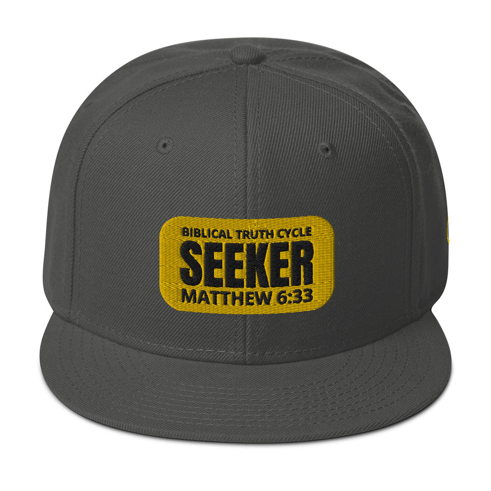 Biblical Truth Cycle - Snapback Hat (Seeker) _ Embroidered