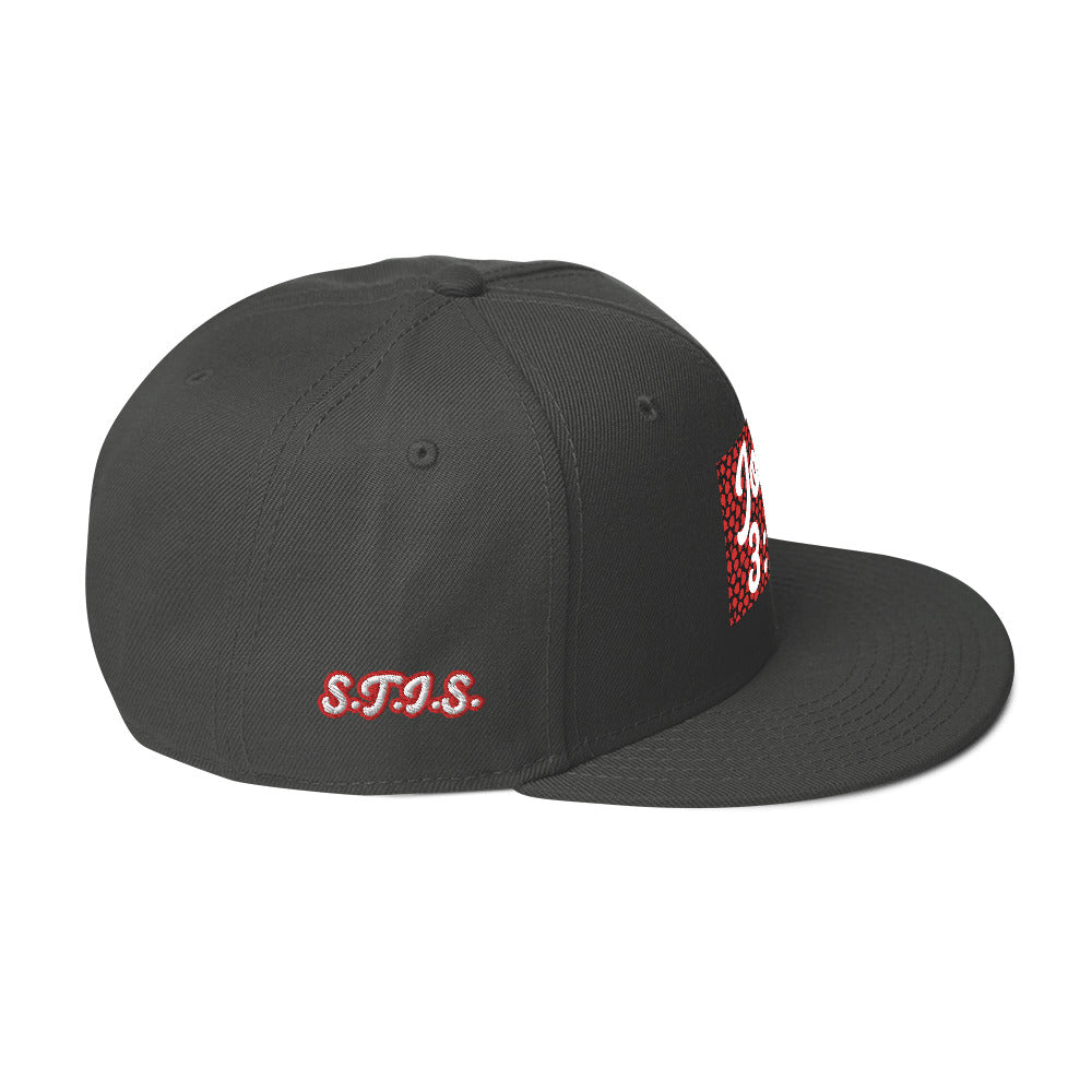 Biblical Truth Cycle - Snapback Hat (John 3:16 - White Letters) _ Embroidered