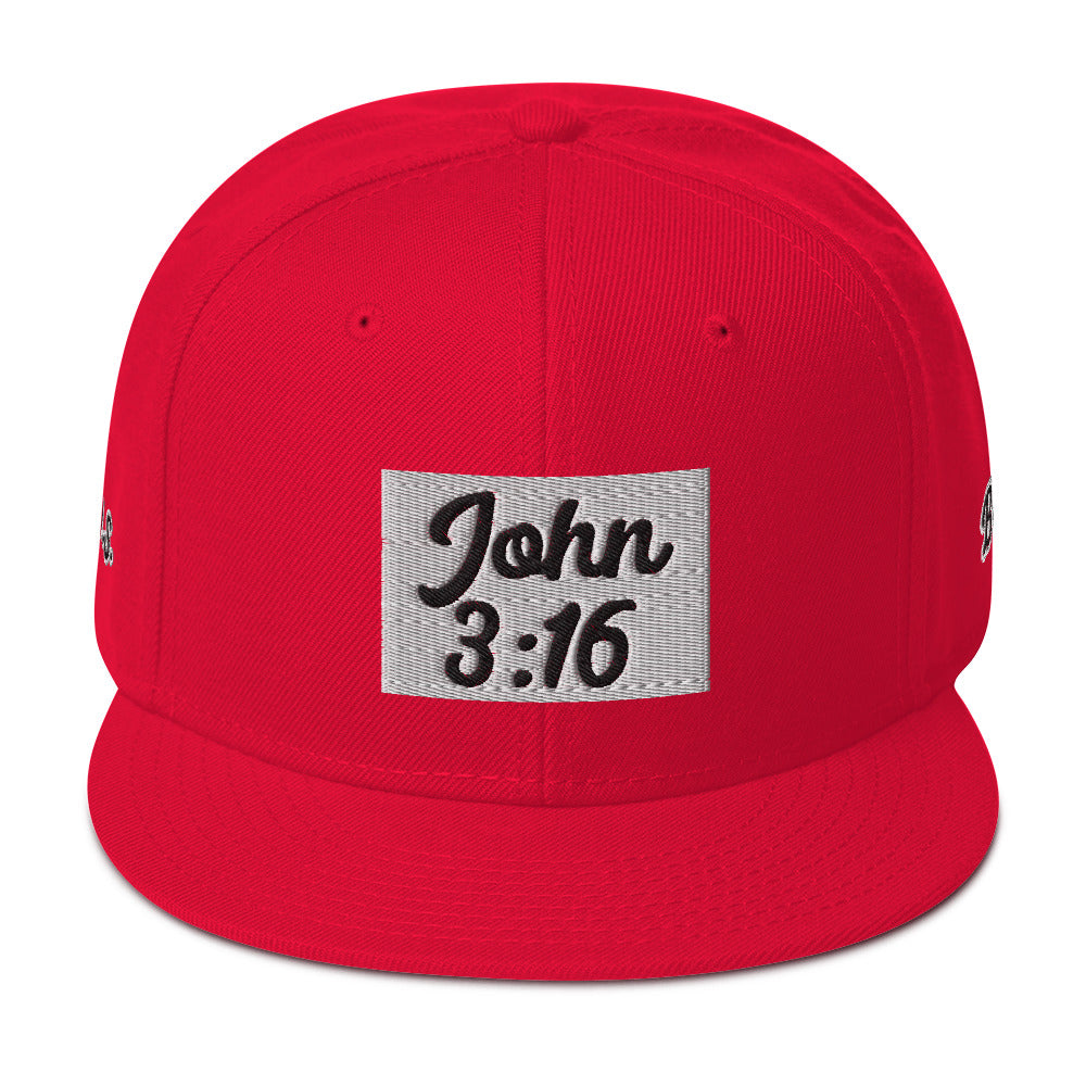 Biblical Truth Cycle - Snapback Hat (John 3:16 - Black Letters) _ Embroidered