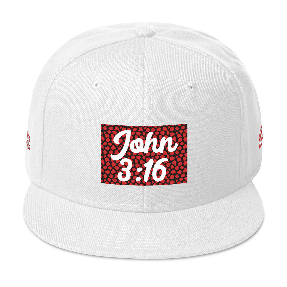 Biblical Truth Cycle - Snapback Hat (John 3:16 - White Letters) _ Embroidered