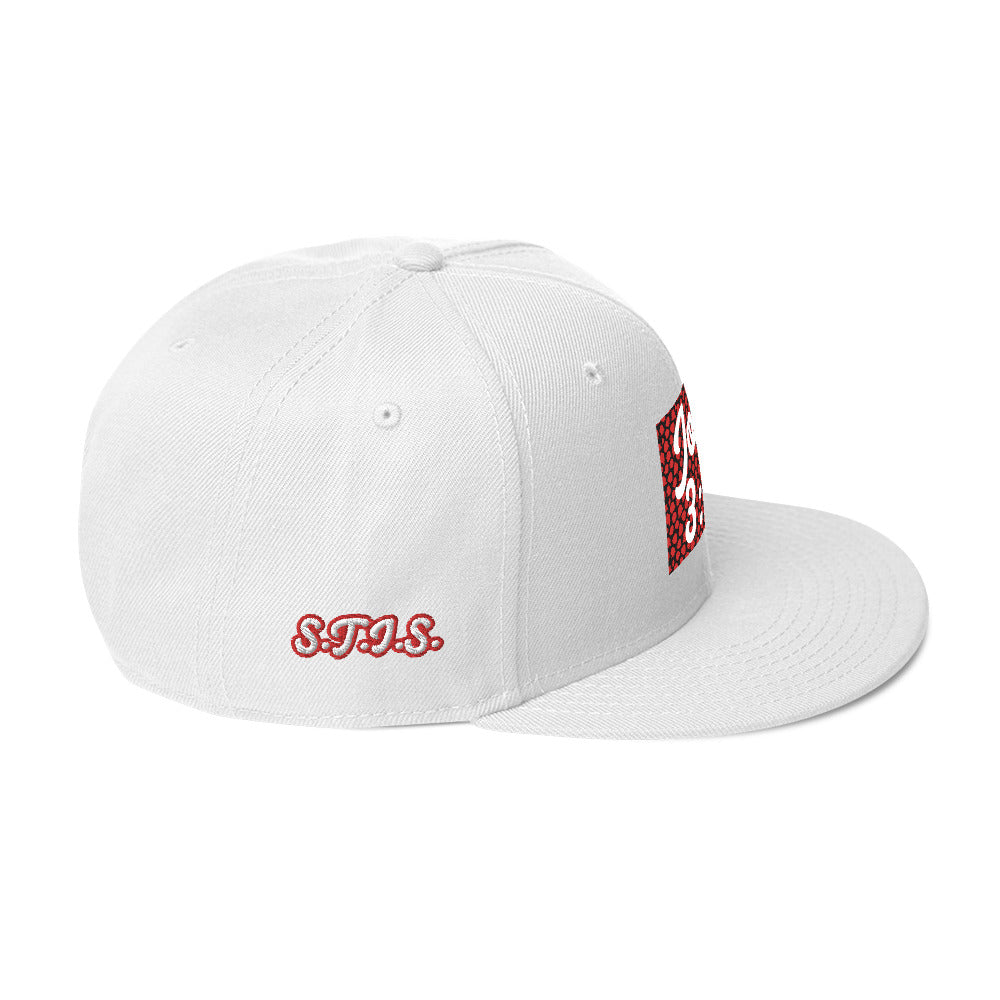 Biblical Truth Cycle - Snapback Hat (John 3:16 - White Letters) _ Embroidered
